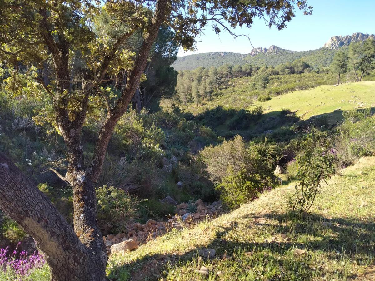 La Romera Villanueva del Duque Екстериор снимка
